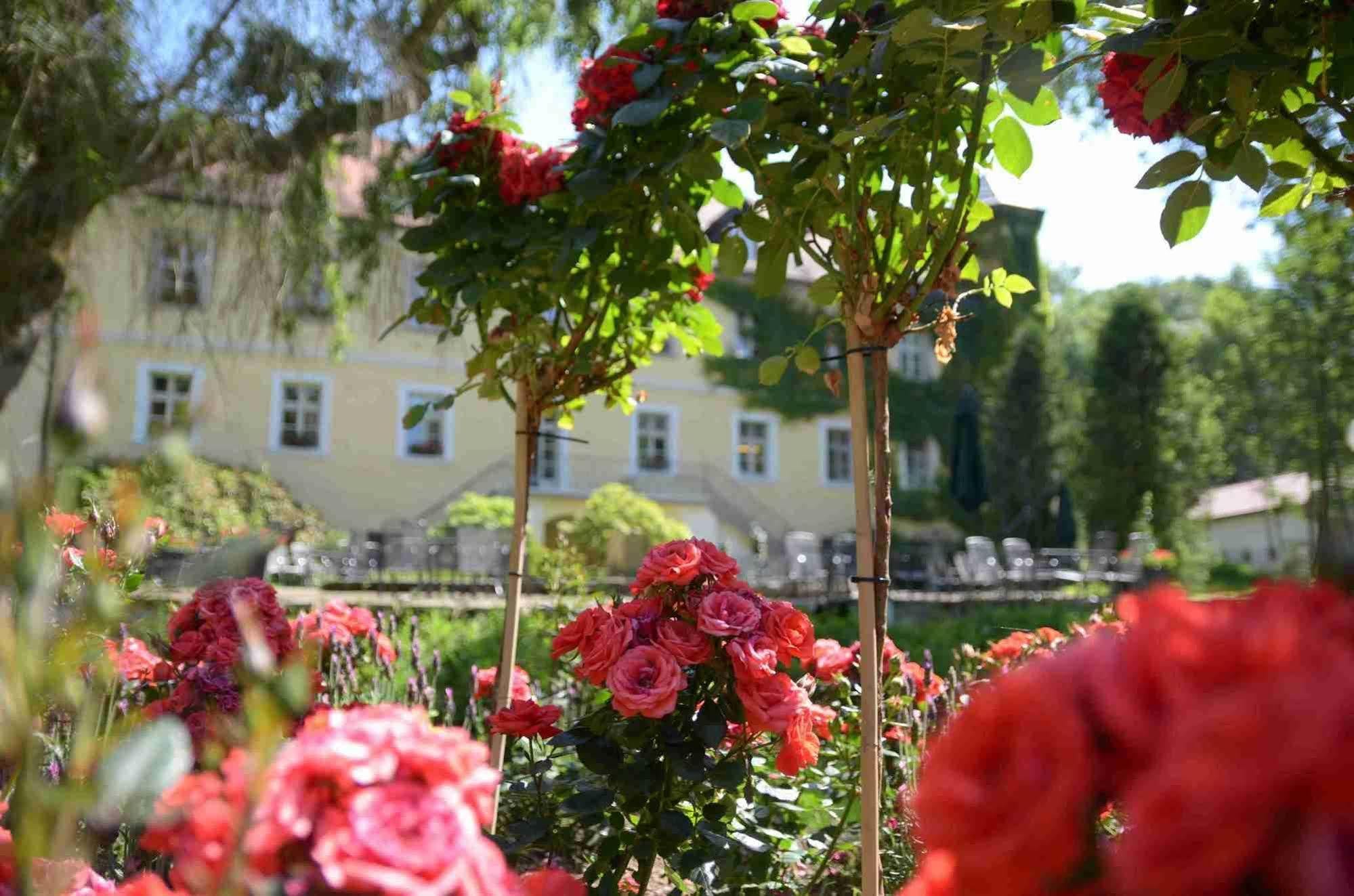 Landschloss Ernestgruen Neualbenreuth Zewnętrze zdjęcie